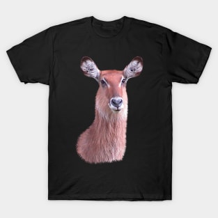 Waterbuck - Antelope - Gazelle - Africa T-Shirt